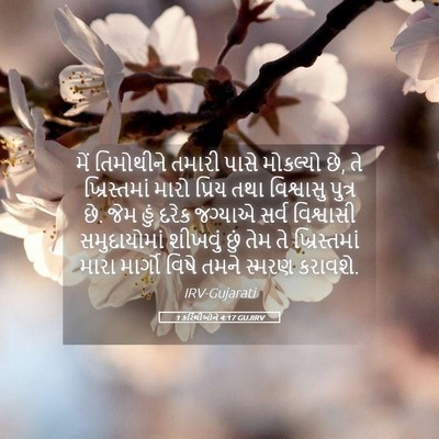 Picture 05 - 1 કરિંથીઓને 4:17 GUJIRV - મેં તિમોથીને - Bible Verse Picture