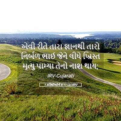 Picture 05 - 1 કરિંથીઓને 8:11 GUJIRV - એવી રીતે તારા - Bible Verse Picture