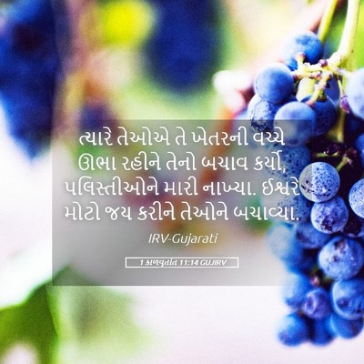 Picture 05 - 1 કાળવૃતાંત 11:14 GUJIRV - ત્યારે તેઓએ તે - Bible Verse Picture