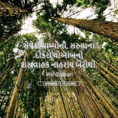 Picture 05 - 1 કાળવૃતાંત 11:39 GUJIRV - સેલેક આમ્મોની, - Bible Verse Picture