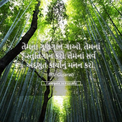 Picture 05 - 1 કાળવૃતાંત 16:9 GUJIRV - તેમના ગુણગાન ગાઓ, - Bible Verse Picture