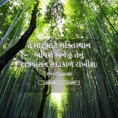 Picture 05 - 1 કાળવૃતાંત 17:12 GUJIRV - તે મારે માટે - Bible Verse Picture
