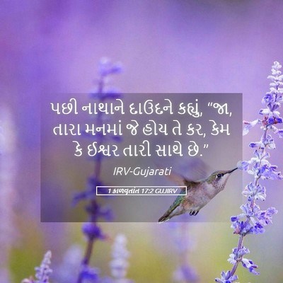 Picture 05 - 1 કાળવૃતાંત 17:2 GUJIRV - પછી નાથાને દાઉદને - Bible Verse Picture