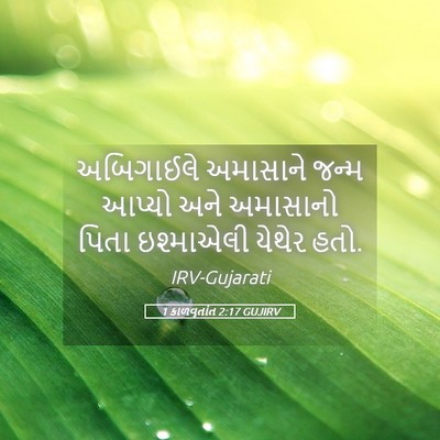 Picture 05 - 1 કાળવૃતાંત 2:17 GUJIRV - અબિગાઈલે અમાસાને - Bible Verse Picture