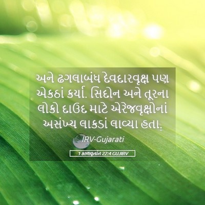 Picture 05 - 1 કાળવૃતાંત 22:4 GUJIRV - અને ઢગલાબંધ - Bible Verse Picture