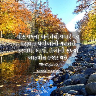 Picture 05 - 1 કાળવૃતાંત 23:3 GUJIRV - ત્રીસ વર્ષના અને - Bible Verse Picture