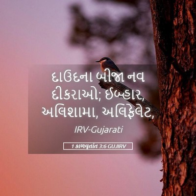 Picture 05 - 1 કાળવૃતાંત 3:6 GUJIRV - દાઉદના બીજા નવ - Bible Verse Picture