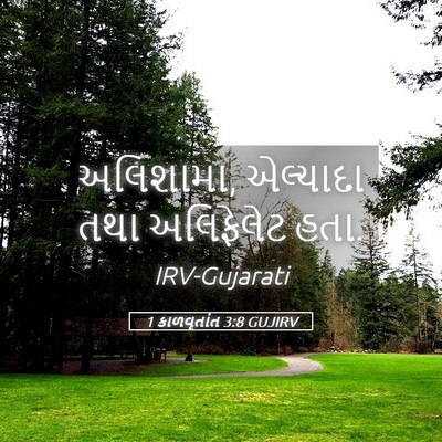 Picture 05 - 1 કાળવૃતાંત 3:8 GUJIRV - અલિશામા, એલ્યાદા - Bible Verse Picture