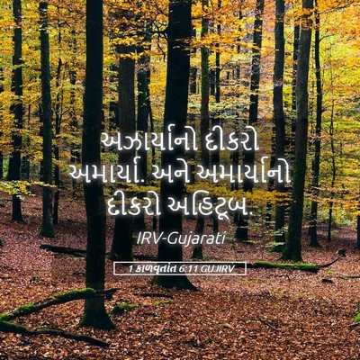 Picture 05 - 1 કાળવૃતાંત 6:11 GUJIRV - અઝાર્યાનો દીકરો - Bible Verse Picture