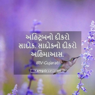 Picture 05 - 1 કાળવૃતાંત 6:8 GUJIRV - અહિટૂબનો દીકરો - Bible Verse Picture