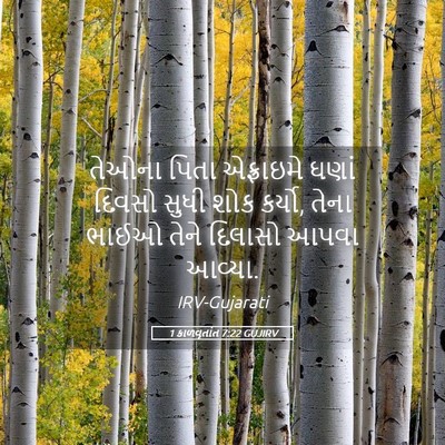 Picture 05 - 1 કાળવૃતાંત 7:22 GUJIRV - તેઓના પિતા - Bible Verse Picture