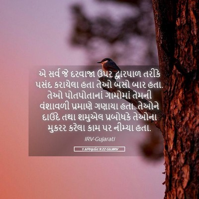 Picture 05 - 1 કાળવૃતાંત 9:22 GUJIRV - એ સર્વ જે દરવાજા - Bible Verse Picture