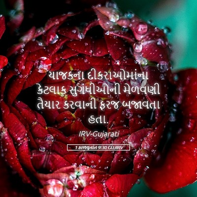 Picture 05 - 1 કાળવૃતાંત 9:30 GUJIRV - યાજકના - Bible Verse Picture