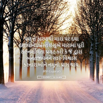 Picture 05 - 1 તિમોથીને 1:16 GUJIRV - પણ તે કારણથી મારા - Bible Verse Picture