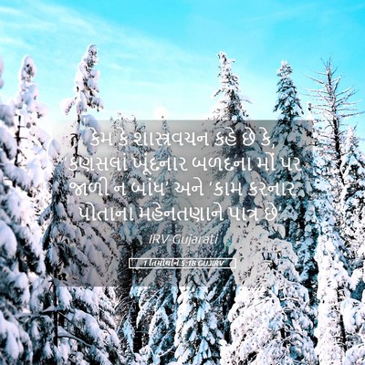 Picture 05 - 1 તિમોથીને 5:18 GUJIRV - કેમ કે શાસ્ત્રવચન - Bible Verse Picture