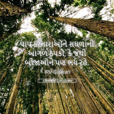Picture 05 - 1 તિમોથીને 5:20 GUJIRV - પાપ કરનારાઓને - Bible Verse Picture