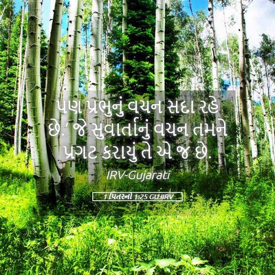 Picture 05 - 1 પિતરનો 1:25 GUJIRV - પણ પ્રભુનું વચન - Bible Verse Picture
