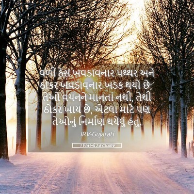 Picture 05 - 1 પિતરનો 2:8 GUJIRV - વળી ઠેસ ખવડાવનાર - Bible Verse Picture