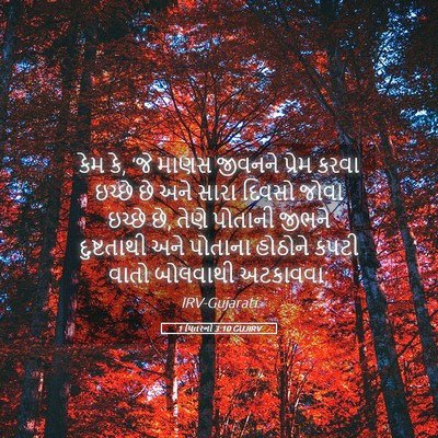 Picture 05 - 1 પિતરનો 3:10 GUJIRV - કેમ કે, ‘જે માણસ - Bible Verse Picture