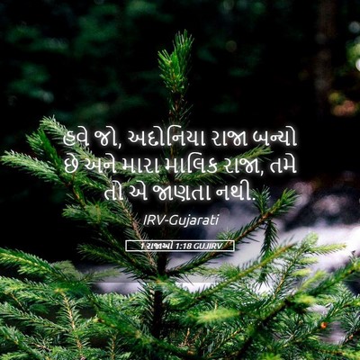 Picture 05 - 1 રાજાઓ 1:18 GUJIRV - હવે જો, અદોનિયા - Bible Verse Picture