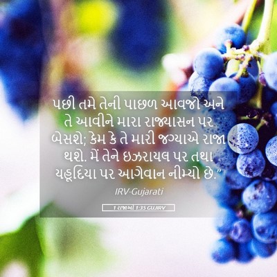 Picture 05 - 1 રાજાઓ 1:35 GUJIRV - પછી તમે તેની પાછળ - Bible Verse Picture
