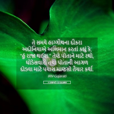 Picture 05 - 1 રાજાઓ 1:5 GUJIRV - તે સમયે હાગ્ગીથના - Bible Verse Picture
