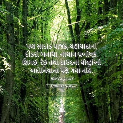 Picture 05 - 1 રાજાઓ 1:8 GUJIRV - પણ સાદોક યાજક, - Bible Verse Picture