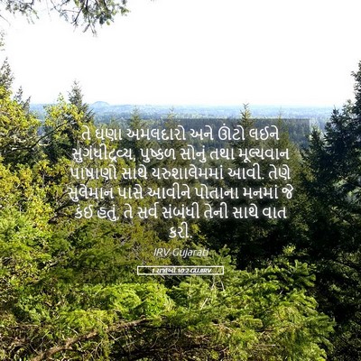 Picture 05 - 1 રાજાઓ 10:2 GUJIRV - તે ઘણા અમલદારો અને - Bible Verse Picture