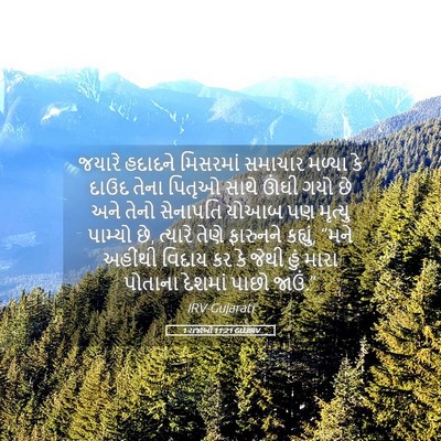 Picture 05 - 1 રાજાઓ 11:21 GUJIRV - જયારે હદાદને - Bible Verse Picture