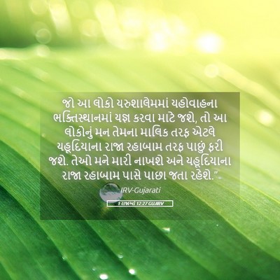 Picture 05 - 1 રાજાઓ 12:27 GUJIRV - જો આ લોકો - Bible Verse Picture
