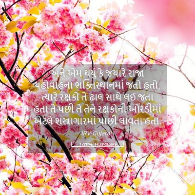 Picture 05 - 1 રાજાઓ 14:28 GUJIRV - અને એમ થયું કે - Bible Verse Picture