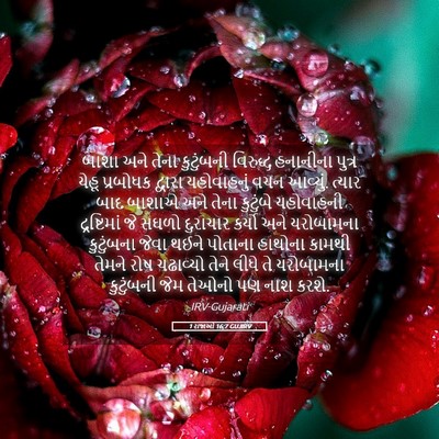 Picture 05 - 1 રાજાઓ 16:7 GUJIRV - બાશા અને તેના - Bible Verse Picture