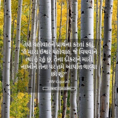 Picture 05 - 1 રાજાઓ 17:20 GUJIRV - તેણે યહોવાહને - Bible Verse Picture