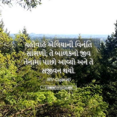 Picture 05 - 1 રાજાઓ 17:22 GUJIRV - યહોવાહે એલિયાની - Bible Verse Picture