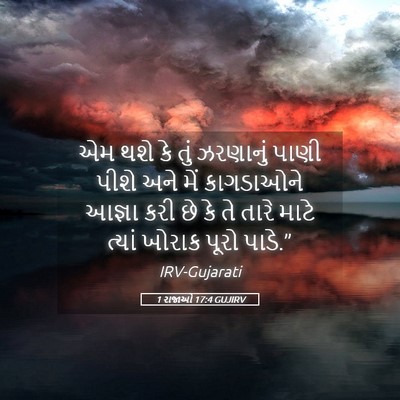 Picture 05 - 1 રાજાઓ 17:4 GUJIRV - એમ થશે કે તું - Bible Verse Picture