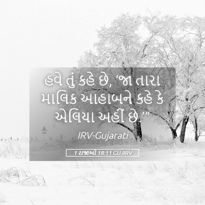 Picture 05 - 1 રાજાઓ 18:11 GUJIRV - હવે તું કહે છે, ‘જા - Bible Verse Picture