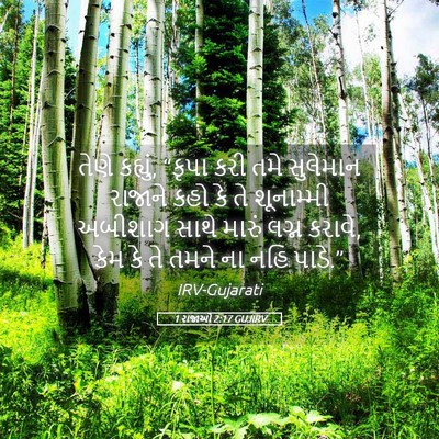 Picture 05 - 1 રાજાઓ 2:17 GUJIRV - તેણે કહ્યું, “કૃપા - Bible Verse Picture