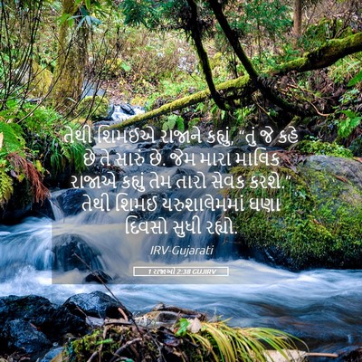 Picture 05 - 1 રાજાઓ 2:38 GUJIRV - તેથી શિમઈએ રાજાને - Bible Verse Picture