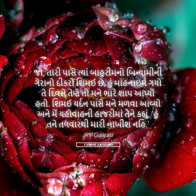 Picture 05 - 1 રાજાઓ 2:8 GUJIRV - જો, તારી પાસે ત્યાં - Bible Verse Picture