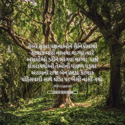 Picture 05 - 1 રાજાઓ 20:20 GUJIRV - તેઓ સામા - Bible Verse Picture
