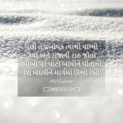 Picture 05 - 1 રાજાઓ 20:38 GUJIRV - પછી તે પ્રબોધક - Bible Verse Picture