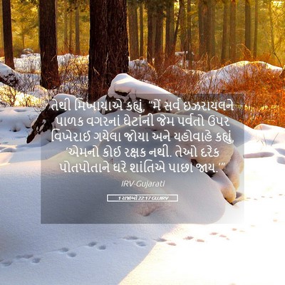 Picture 05 - 1 રાજાઓ 22:17 GUJIRV - તેથી મિખાયાએ - Bible Verse Picture