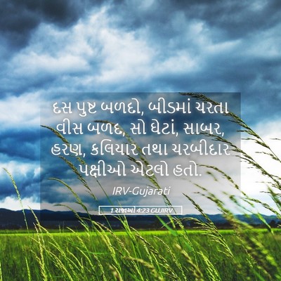 Picture 05 - 1 રાજાઓ 4:23 GUJIRV - દસ પુષ્ટ બળદો, - Bible Verse Picture
