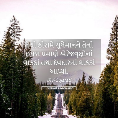 Picture 05 - 1 રાજાઓ 5:10 GUJIRV - તેથી હીરામે - Bible Verse Picture