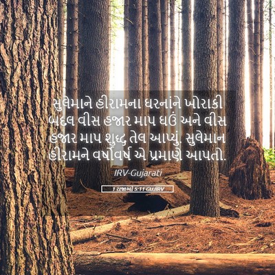 Picture 05 - 1 રાજાઓ 5:11 GUJIRV - સુલેમાને હીરામના - Bible Verse Picture