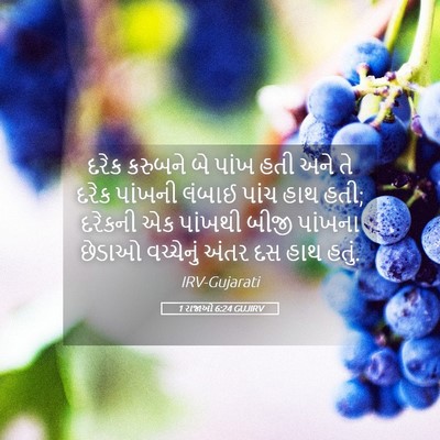 Picture 05 - 1 રાજાઓ 6:24 GUJIRV - દરેક કરુબને બે - Bible Verse Picture