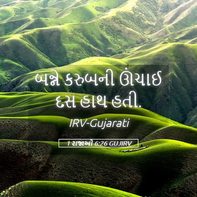 Picture 05 - 1 રાજાઓ 6:26 GUJIRV - બન્ને કરુબની - Bible Verse Picture