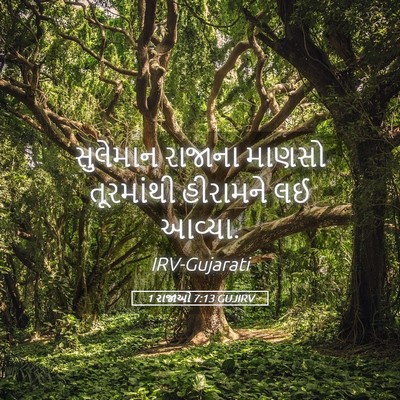 Picture 05 - 1 રાજાઓ 7:13 GUJIRV - સુલેમાન રાજાના - Bible Verse Picture