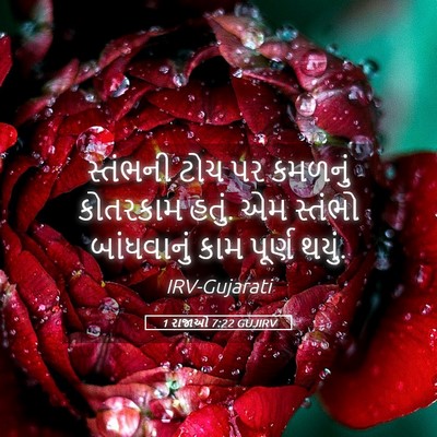 Picture 05 - 1 રાજાઓ 7:22 GUJIRV - સ્તંભની ટોચ પર - Bible Verse Picture