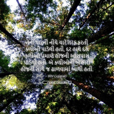 Picture 05 - 1 રાજાઓ 7:24 GUJIRV - તેની ધારની નીચે - Bible Verse Picture